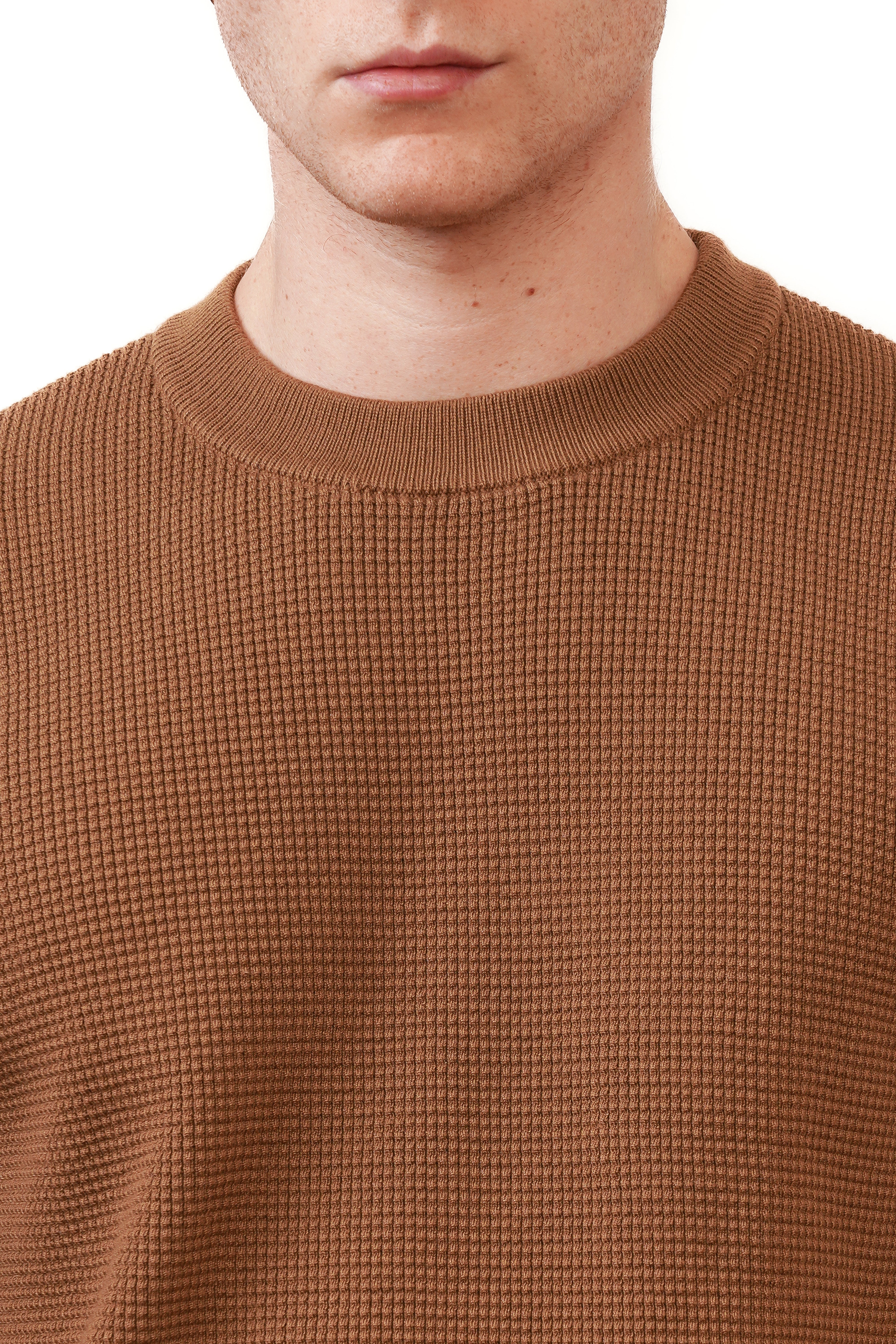 The Saint Crewneck Bruin