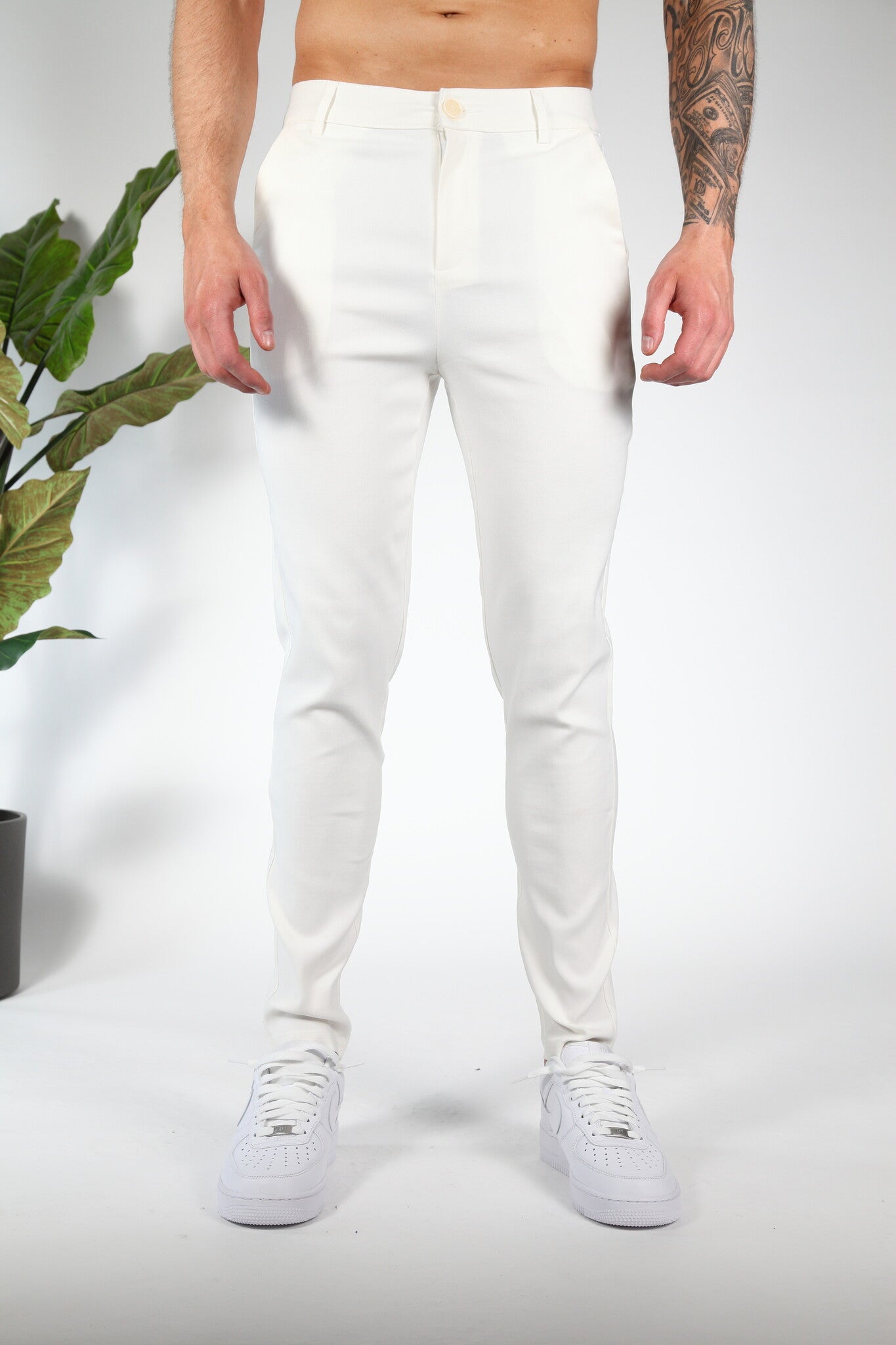 Chino Valenci White