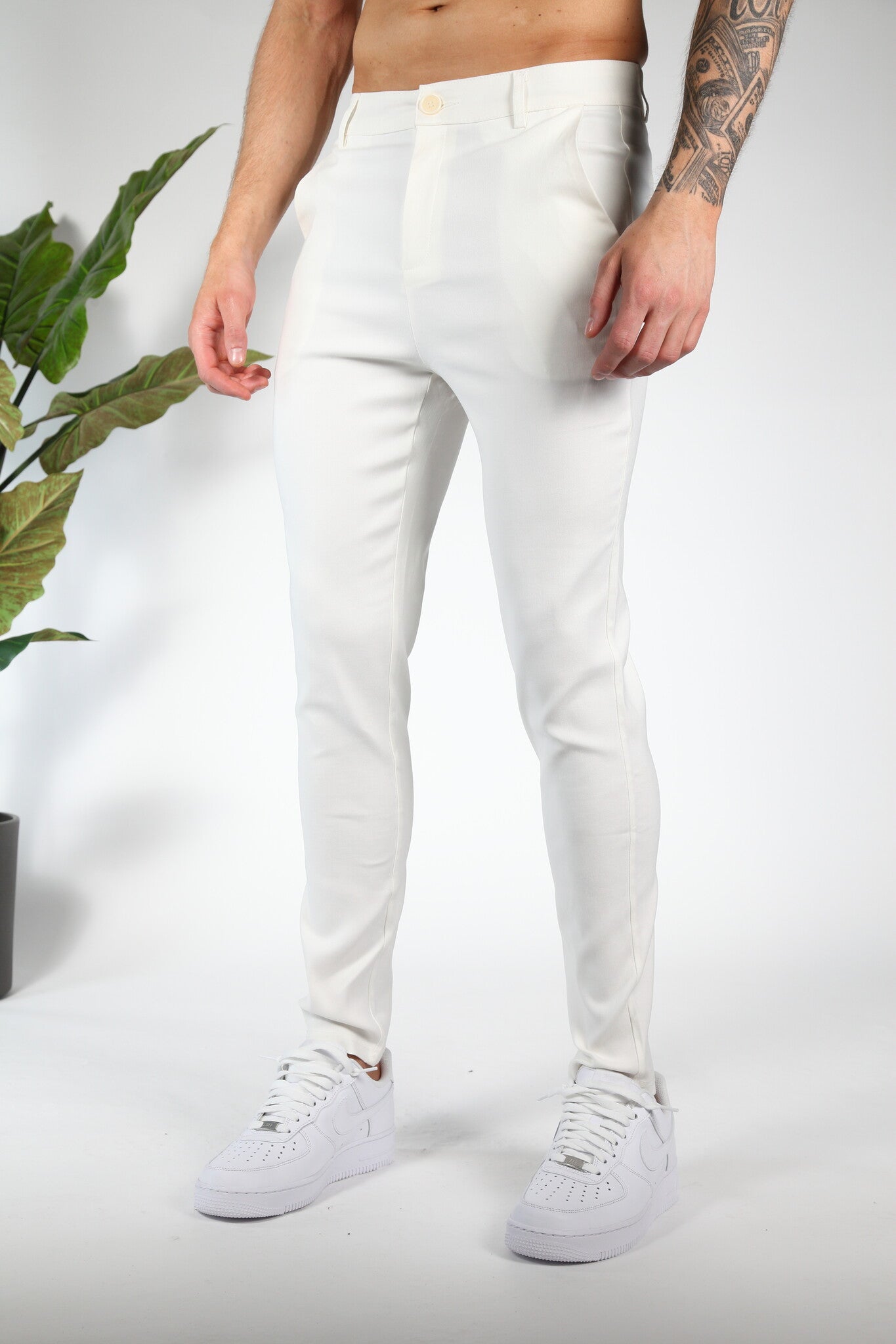 Chino Valenci White