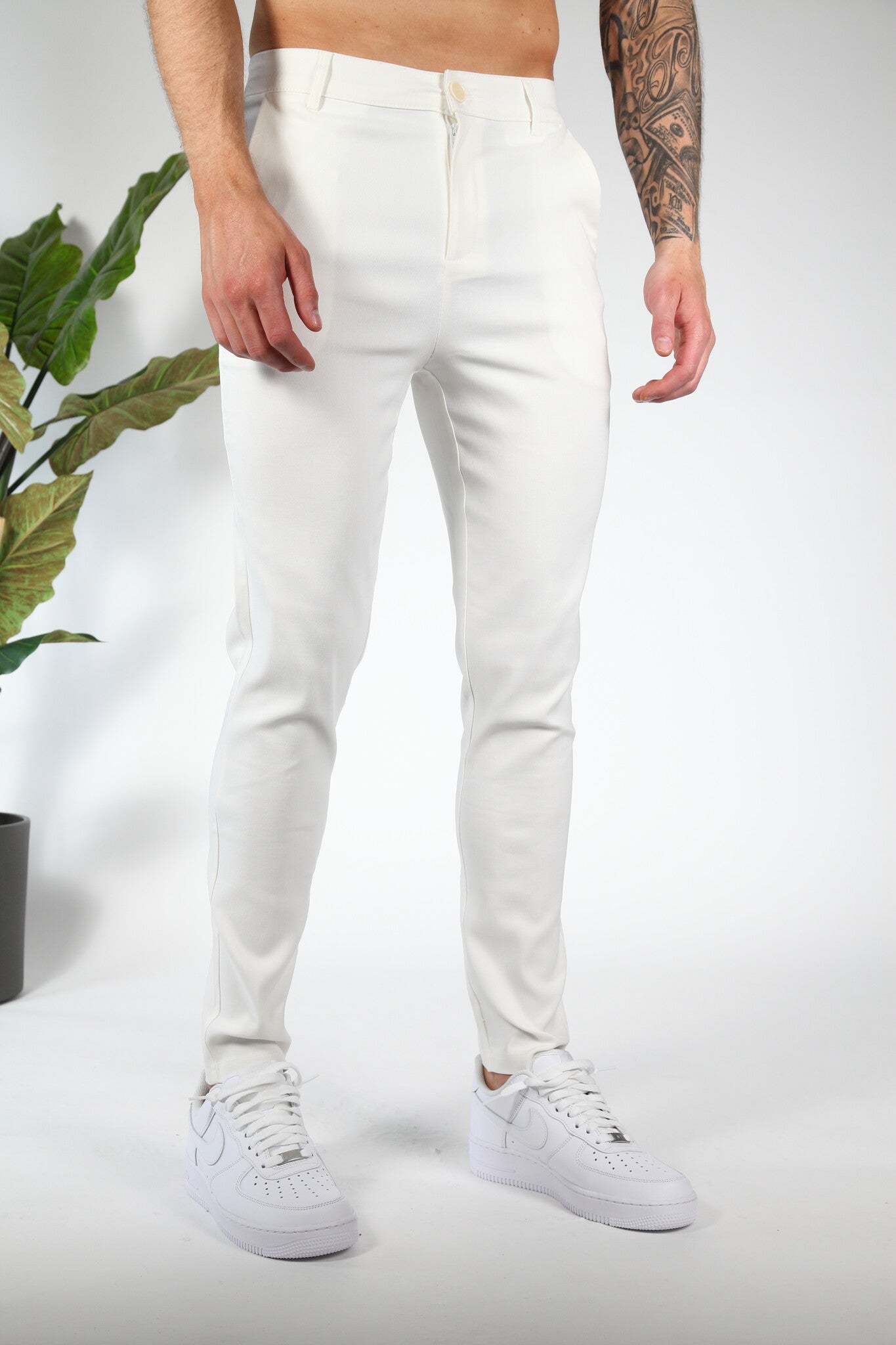 Chino Valenci White