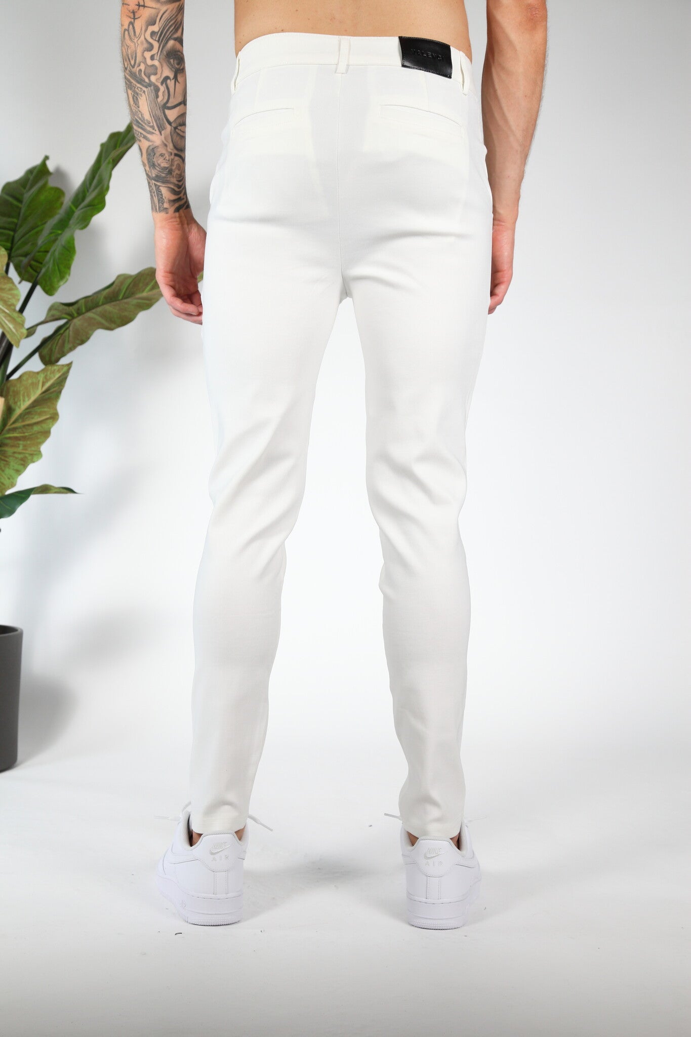 Chino Valenci White