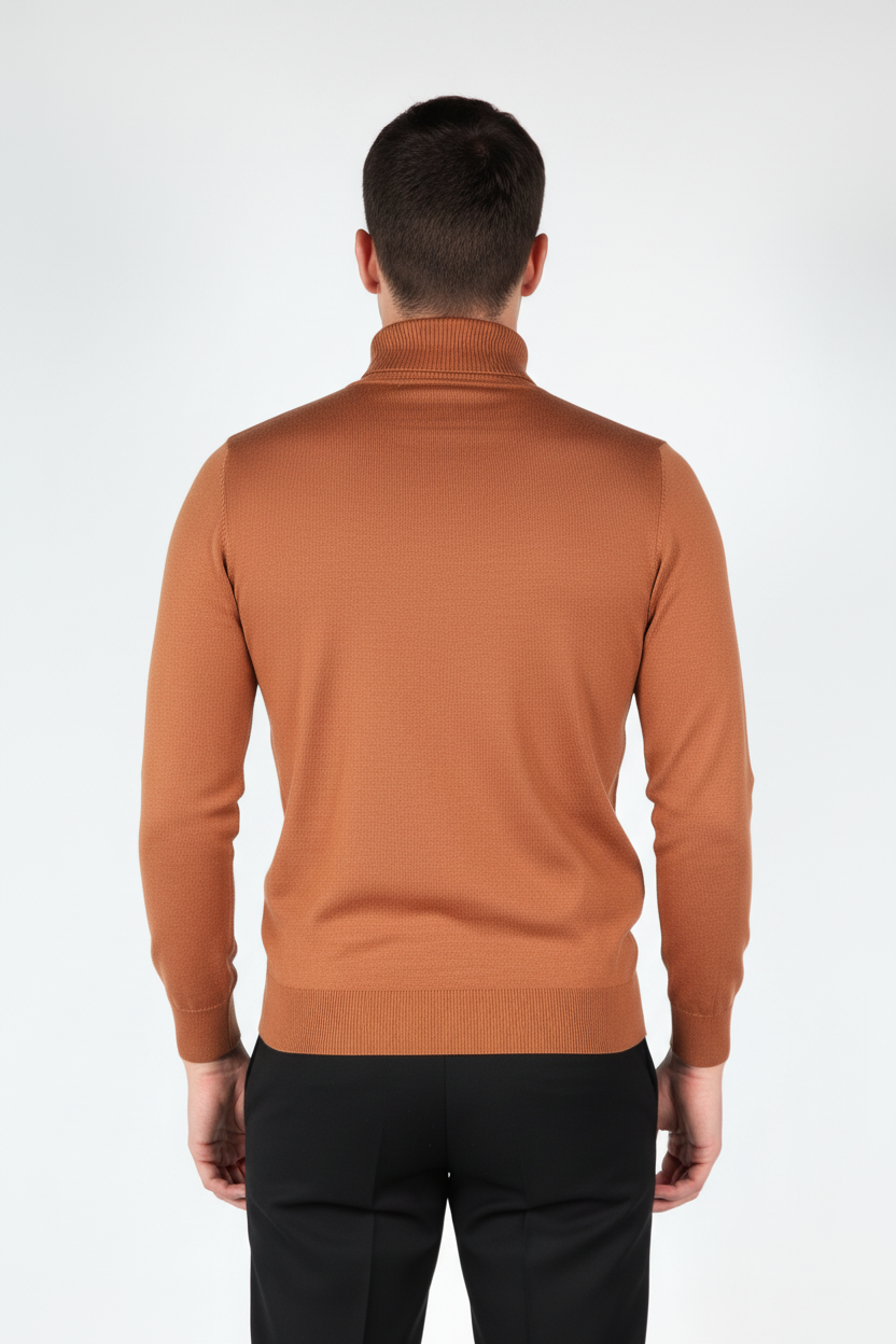 Hombres de cuello de tortuga marrón