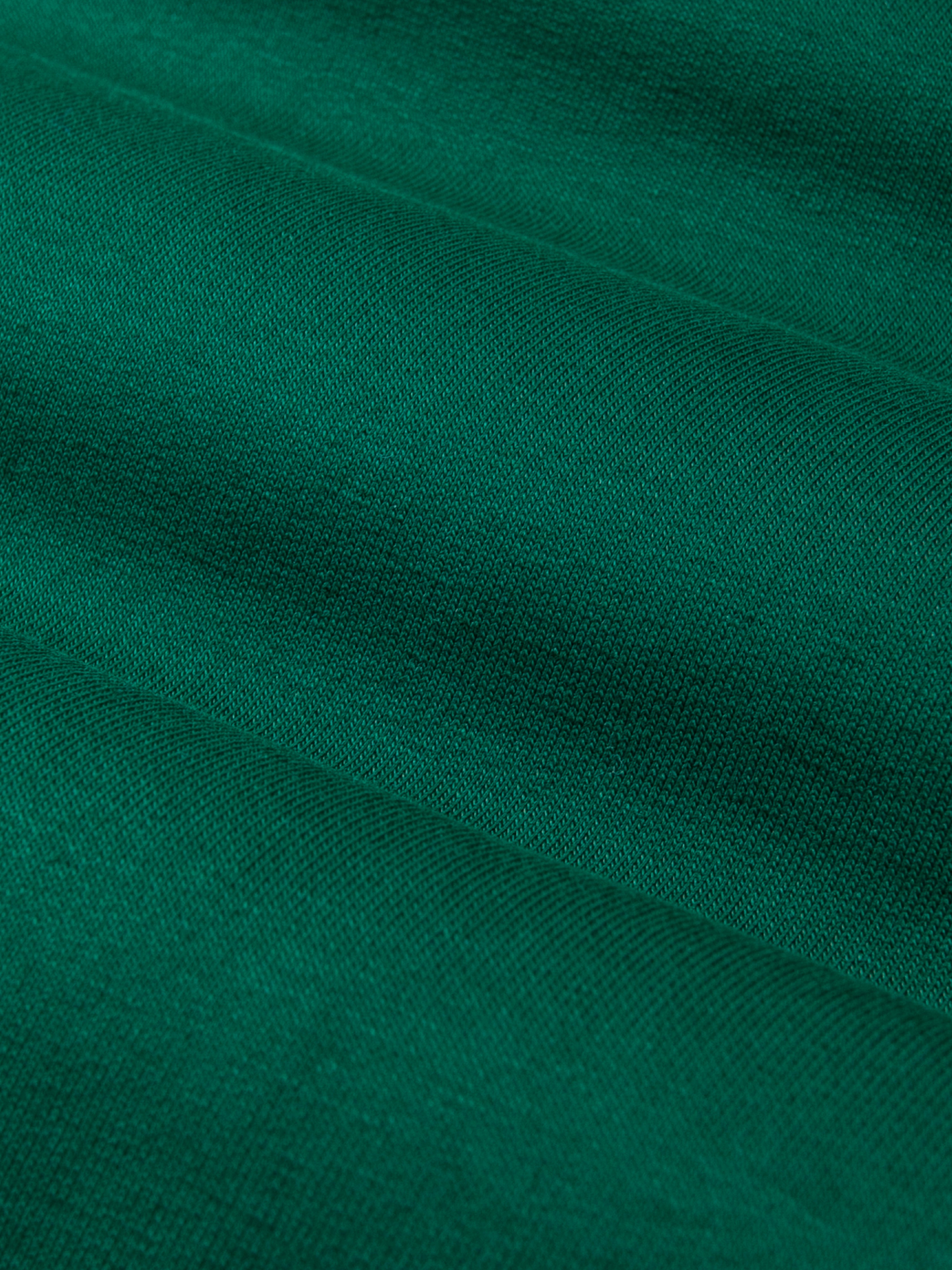 Groen de icono de suéter