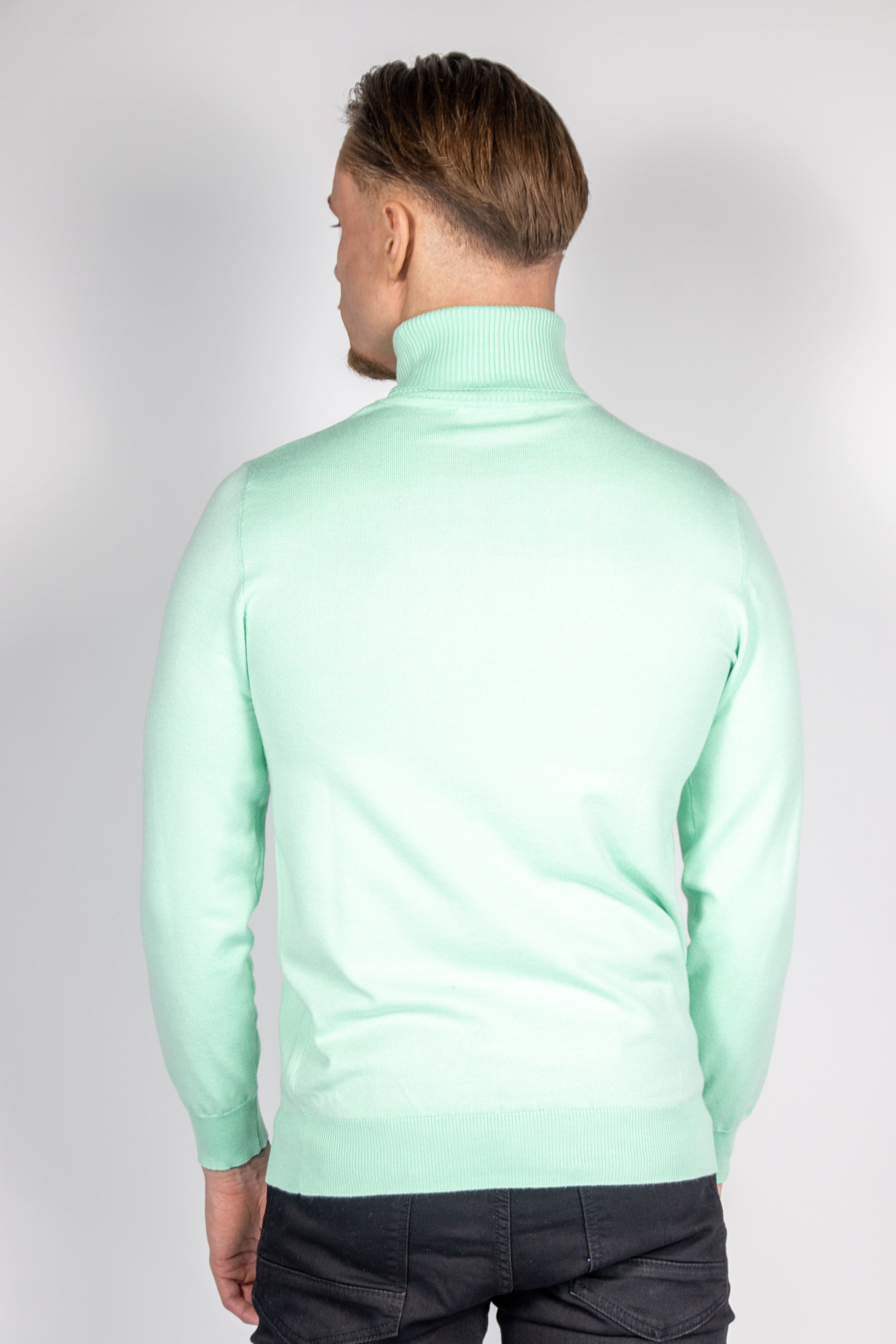 Uomini di dolcevita d'acqua verde