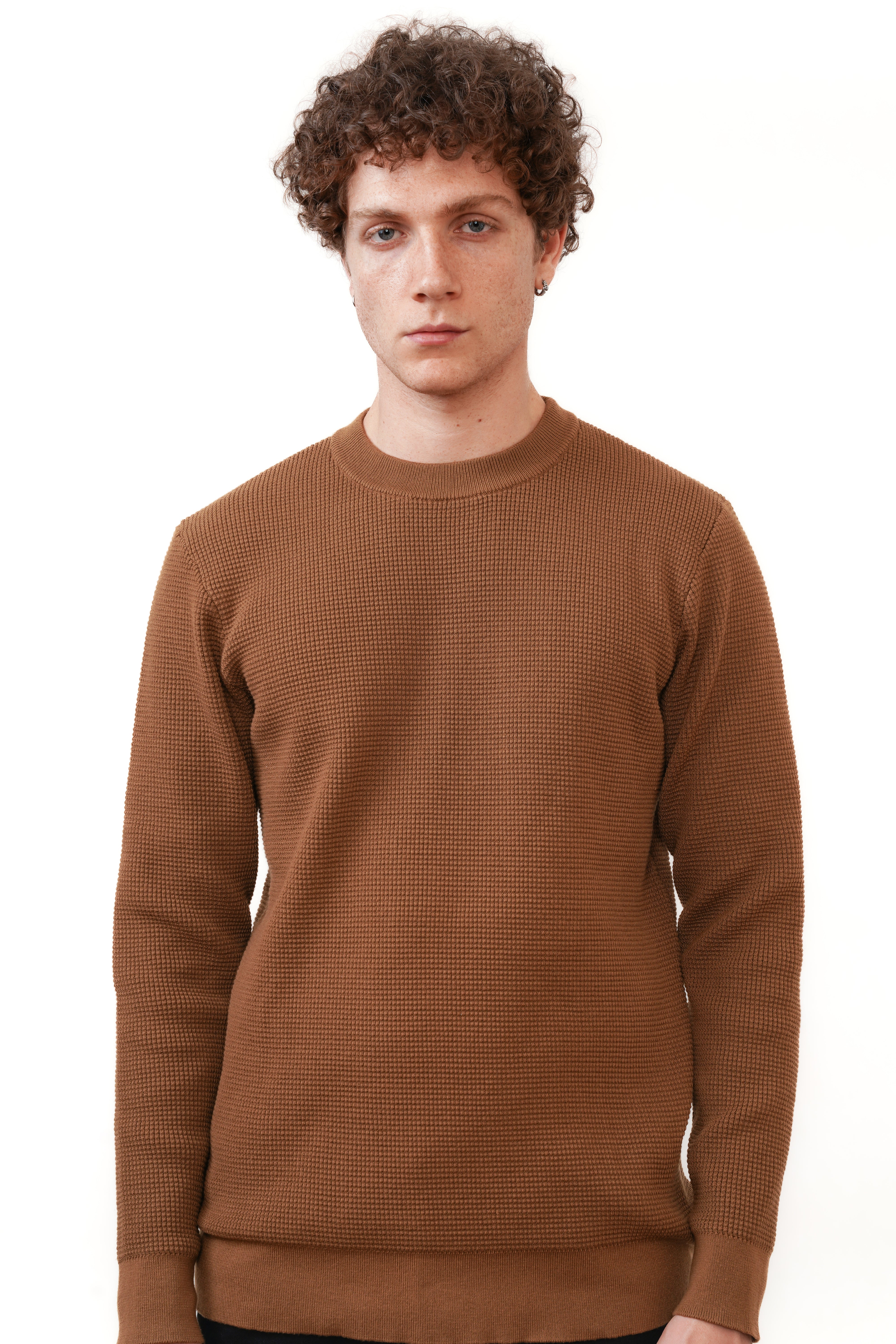 The Saint Crewneck Bruin