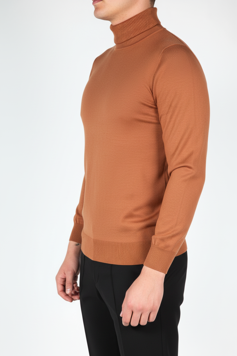 Hombres de cuello de tortuga marrón