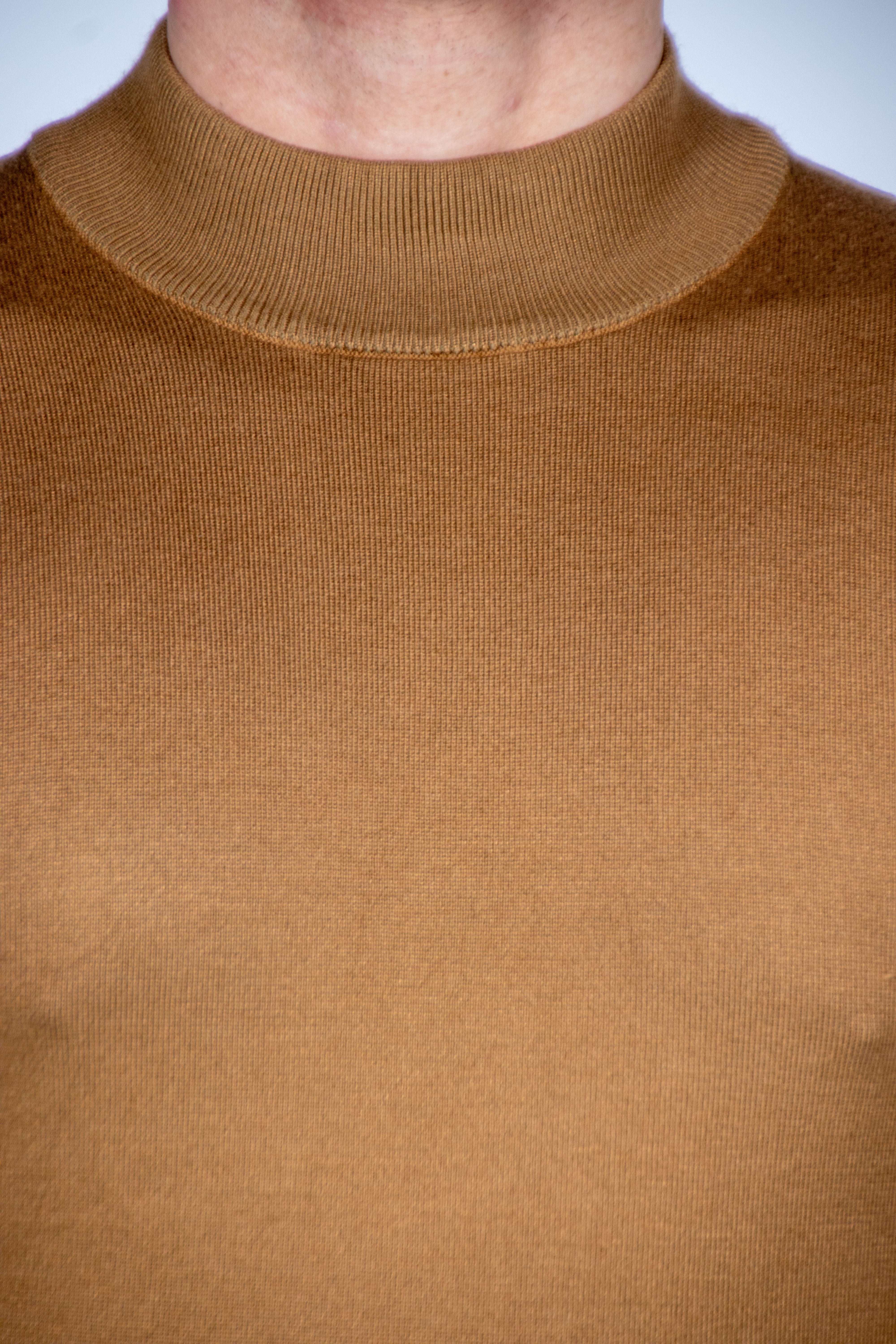 Chameaux à col roulé